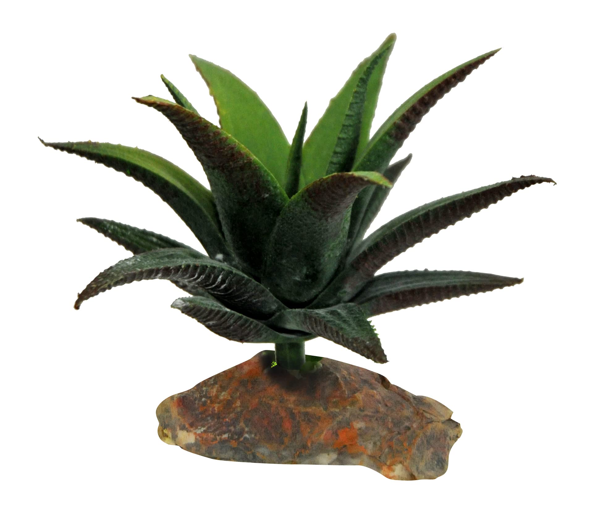64690 140g Succulent Terrarium Decoration - Miniature Plants for Fairy Garden, DIY Home Decor & Office Desk Accessories | Perfect for Indoor Plant Displays, Wedding Centerpieces & Gift Ideas