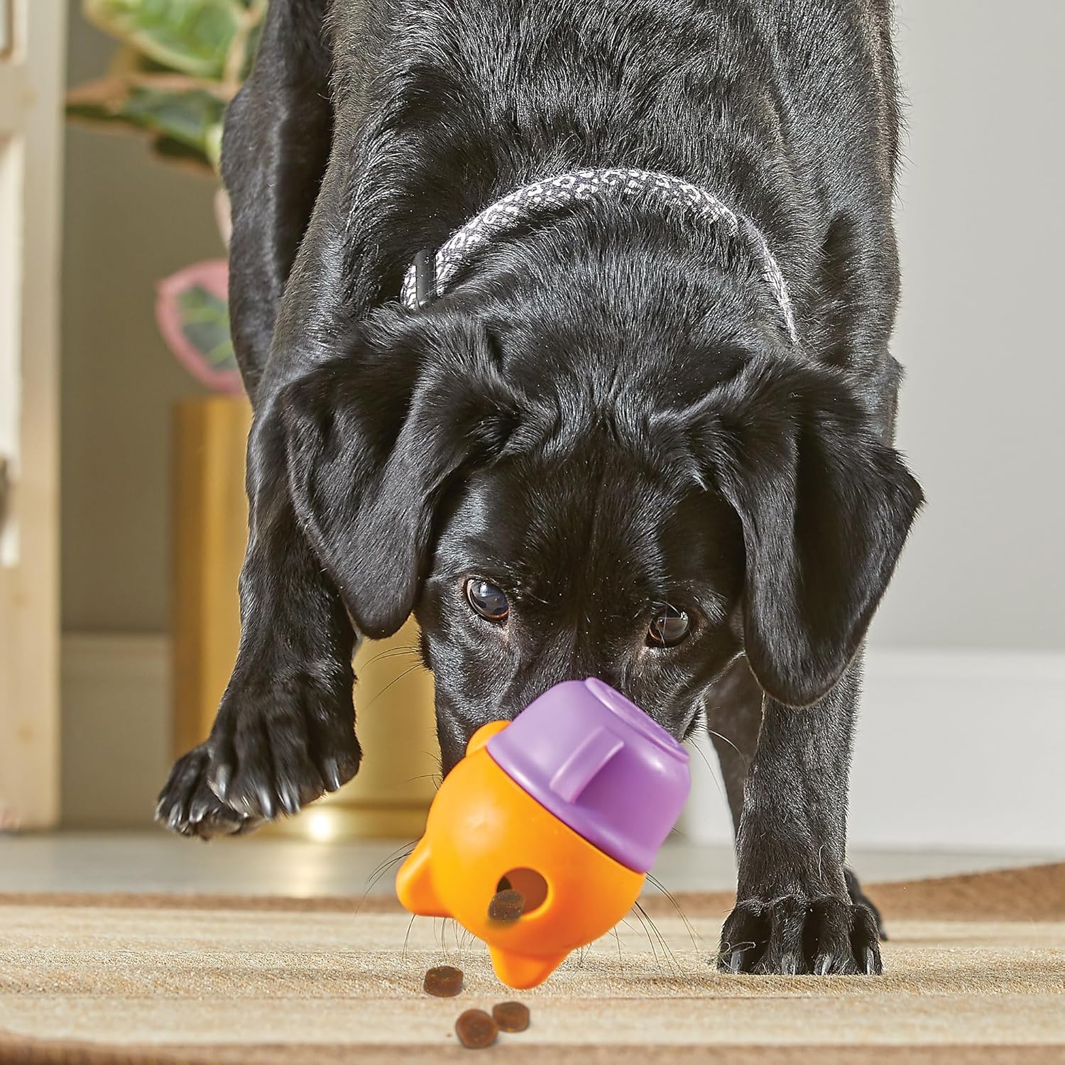 Brightkins Automatic Pet Treat Dispenser for Dogs & Cats - Interactive Toy for Training & Play - Perfect for Small Pets Like Teacup Kittens & Puppies (Use at Home, Travel, or Vet Visits)