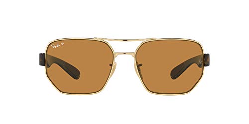 Gold/Dark Brown Polarized