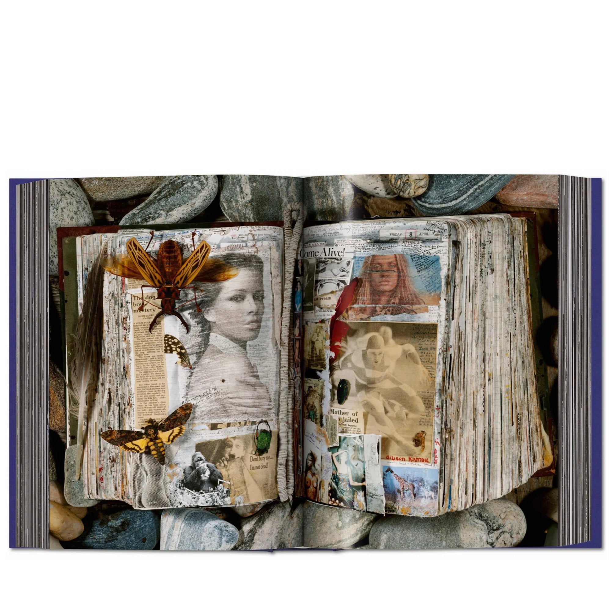 Peter Beard Books & Photography - Rare Collectible Art Books for Photography Enthusiasts - Perfect for Home Decor, Coffee Table Books & Gift Ideas