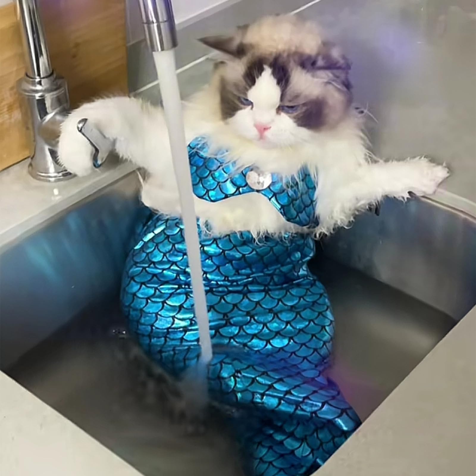 Funny Pink Mermaid Cat Costume - Adorable Mermaid Outfit for Small Dogs & Cats - Perfect for Pet Parties, Halloween & Photo Shoots