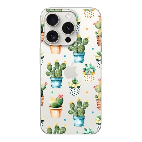 Cactus Pots