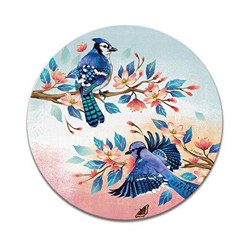 Flying Blue Jay Birds