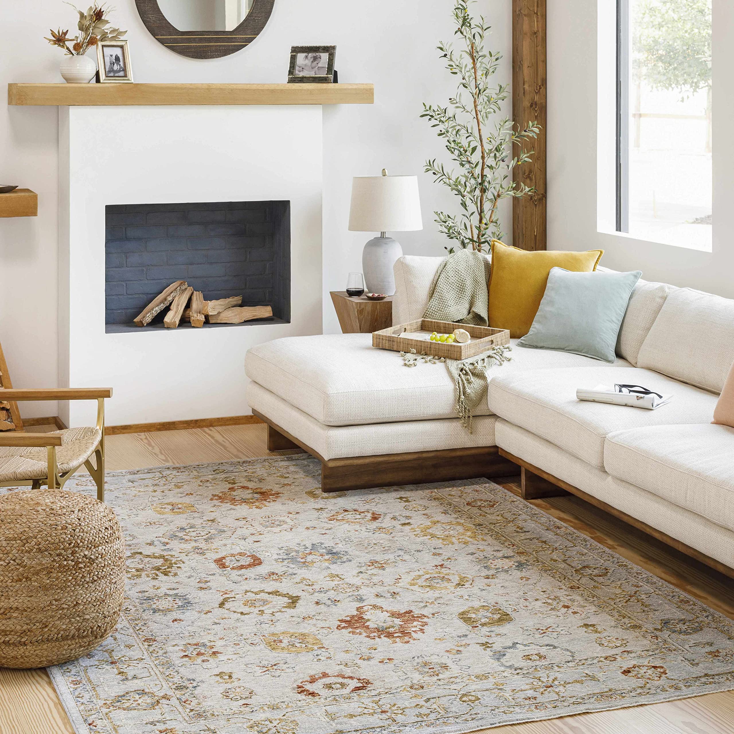 Hauteloom Mogul Soft Plush Area Rug for Living Room and Bedroom - 6'7