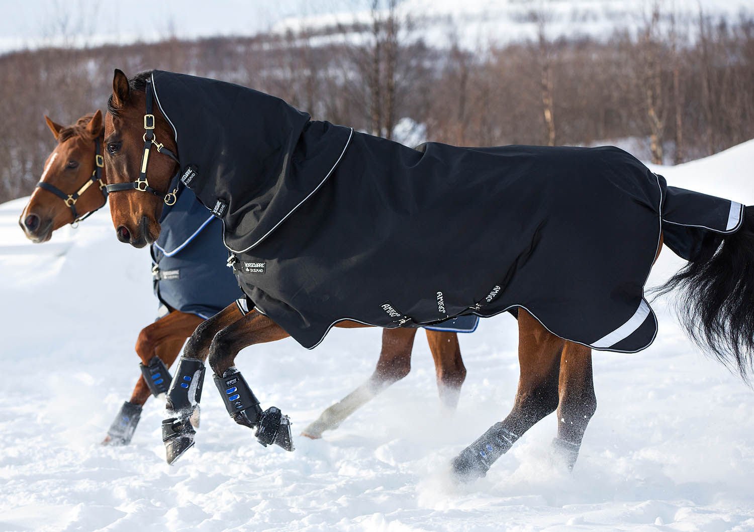 Amigo Super Bravo Plus Medium Horse Turnout Blanket - Waterproof & Breathable Winter Horse Blanket for Stable & Outdoor Riding - Perfect for Cold Weather Protection