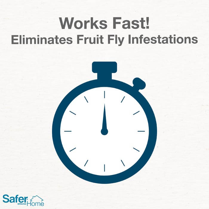 Safer Home Fruit Fly Trap - Natural & Non-Toxic Fly Catcher for Kitchen, Indoor & Outdoor Use - Perfect for Fruits, Vegetables, and Compost Bins
