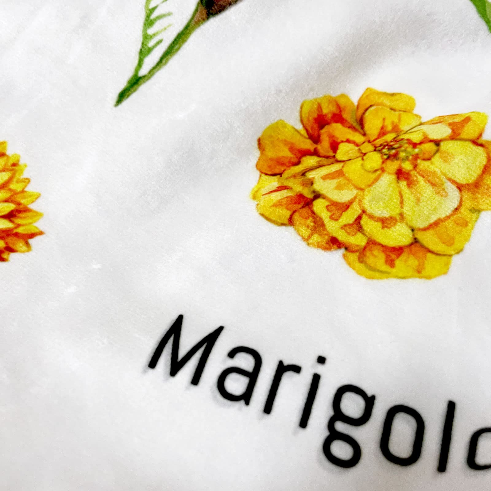 Personalized Baby Blanket with Name - Custom Embroidered Newborn Receiving Blanket for Girls & Boys - Ultra Soft Double Layer Plush Minky Dot Blanket 30x40 Inches - Perfect Christening Gift, Nursery Essential & Baby Shower Present