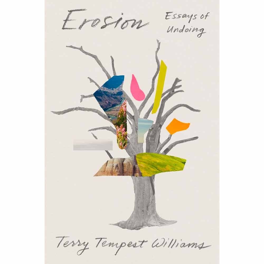 Erosion: Essays of Undoing - Powerful Reflections on Environmental Change and Personal Transformation | Perfect for Book Clubs, Nature Lovers & Climate Change Discussions