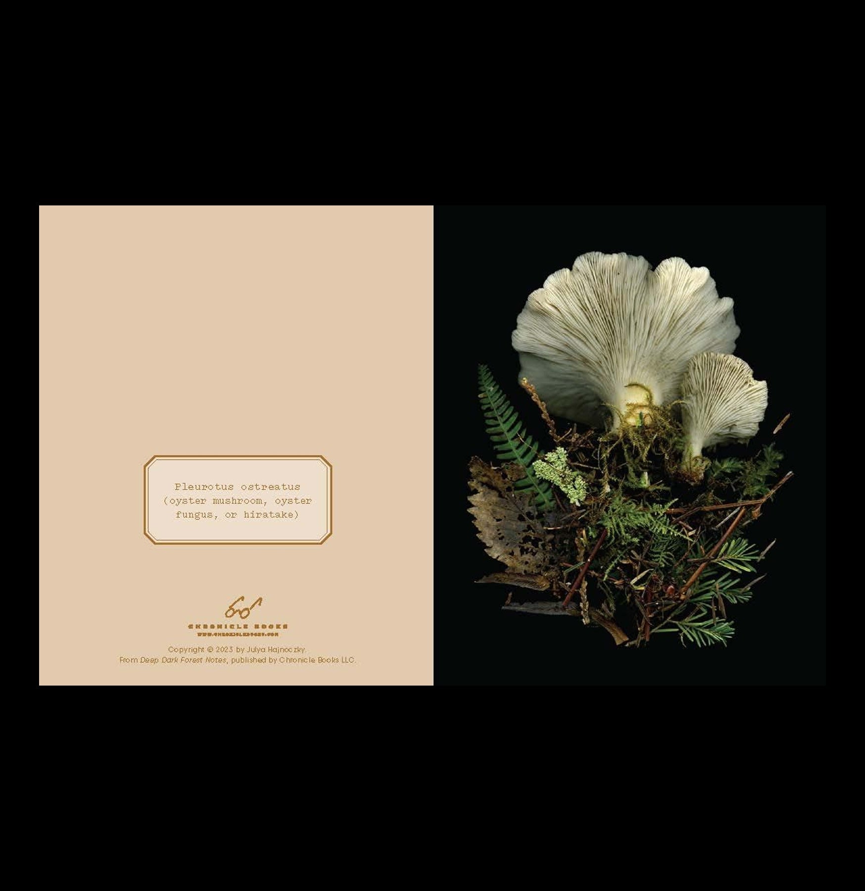 Deep Dark Forest Mushroom Notecards - Handmade Botanical Greeting Cards for Nature Lovers | Perfect for Thank You Notes, Birthday Cards & Wedding Invitations