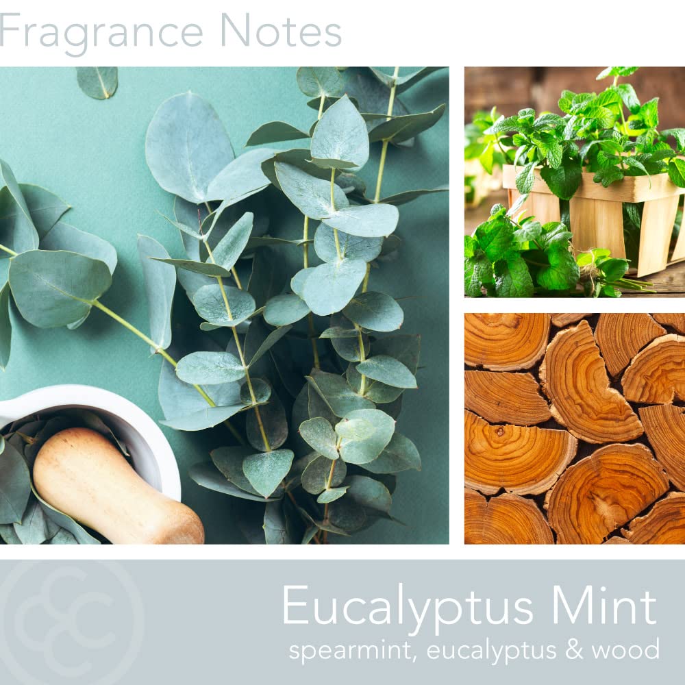Colonial Candle Eucalyptus Mint Scented Jar Candle - 2 Wick, 11 oz (80 Hours Burn Time) | Classic Cylinders Collection | Green Home Decor for Relaxation, Spa & Aromatherapy
