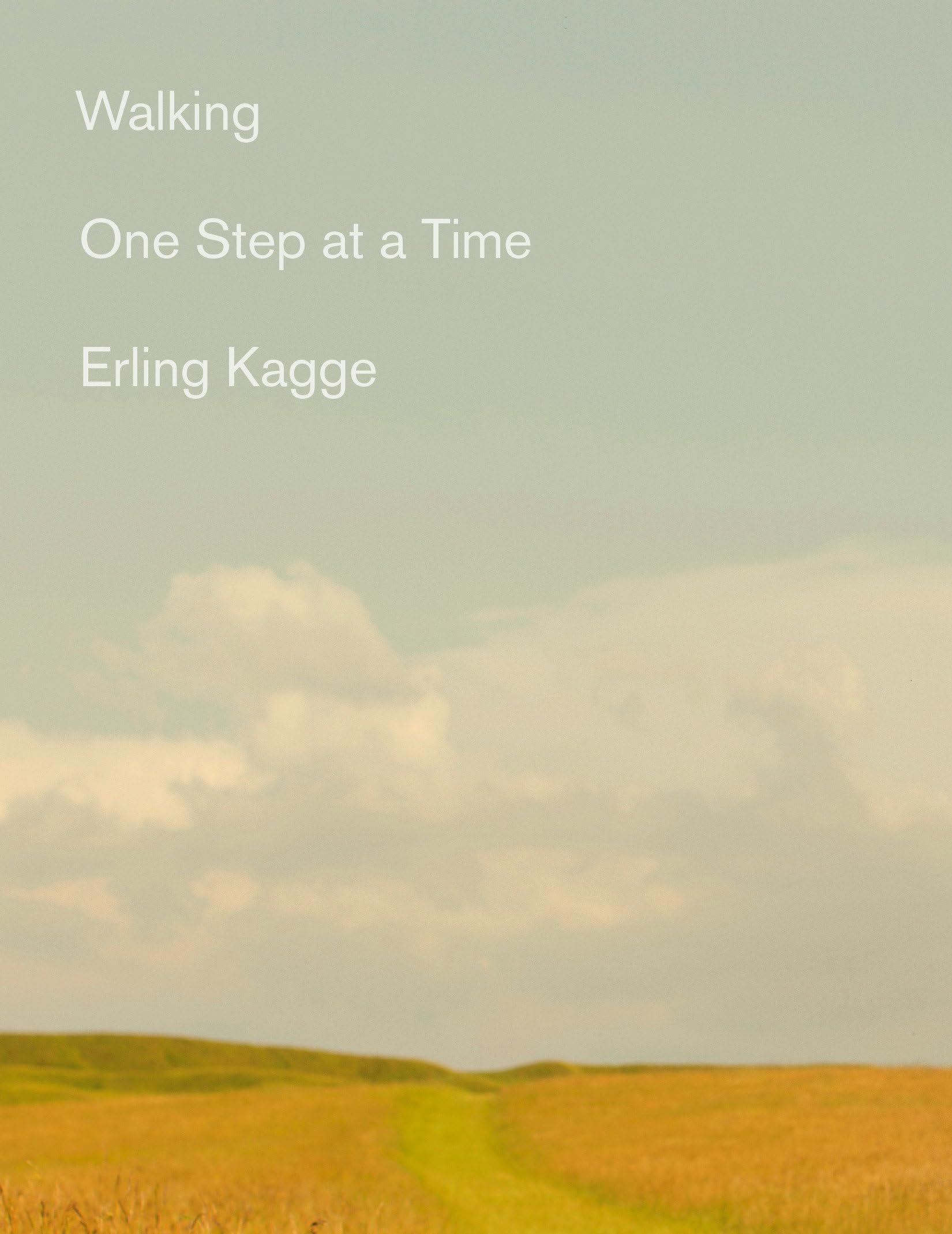 Walking: One Step at a Time - Comfortable Walking Shoes for Men & Women | Perfect for Hiking, Travel & Daily Fitness