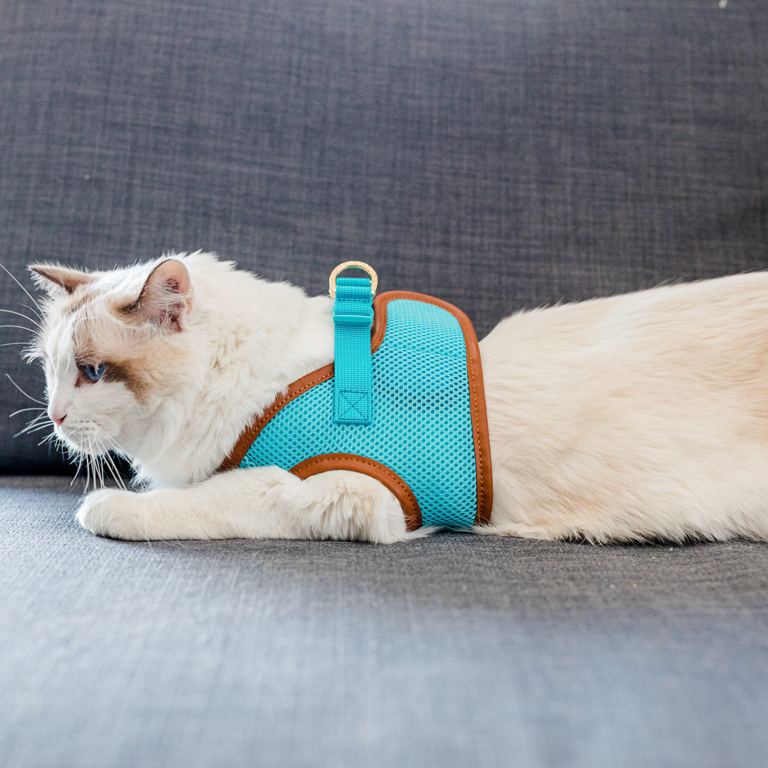 Sky Blue Cat Harness with Tan Trim - Adjustable & Escape-Proof Pet Vest for Safe Outdoor Adventures - Perfect for Walking, Hiking & Travel