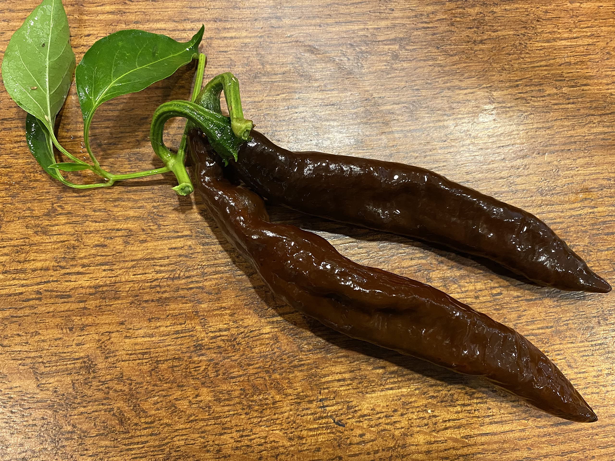 Premium Pasilla Bajio Heirloom Pepper Seeds - Little Raisin Chile, Oaxacan Chilaca Chili - Non-GMO Planting Seeds Packet for Home Garden, Mexican Cuisine & Salsa Making