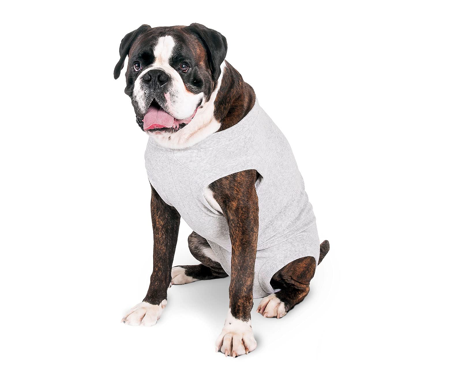 FLAMINGO Safety Dog Harness & Coat - Adjustable 26 cm, Grey - Perfect for Outdoor Adventures, Walking, and Training