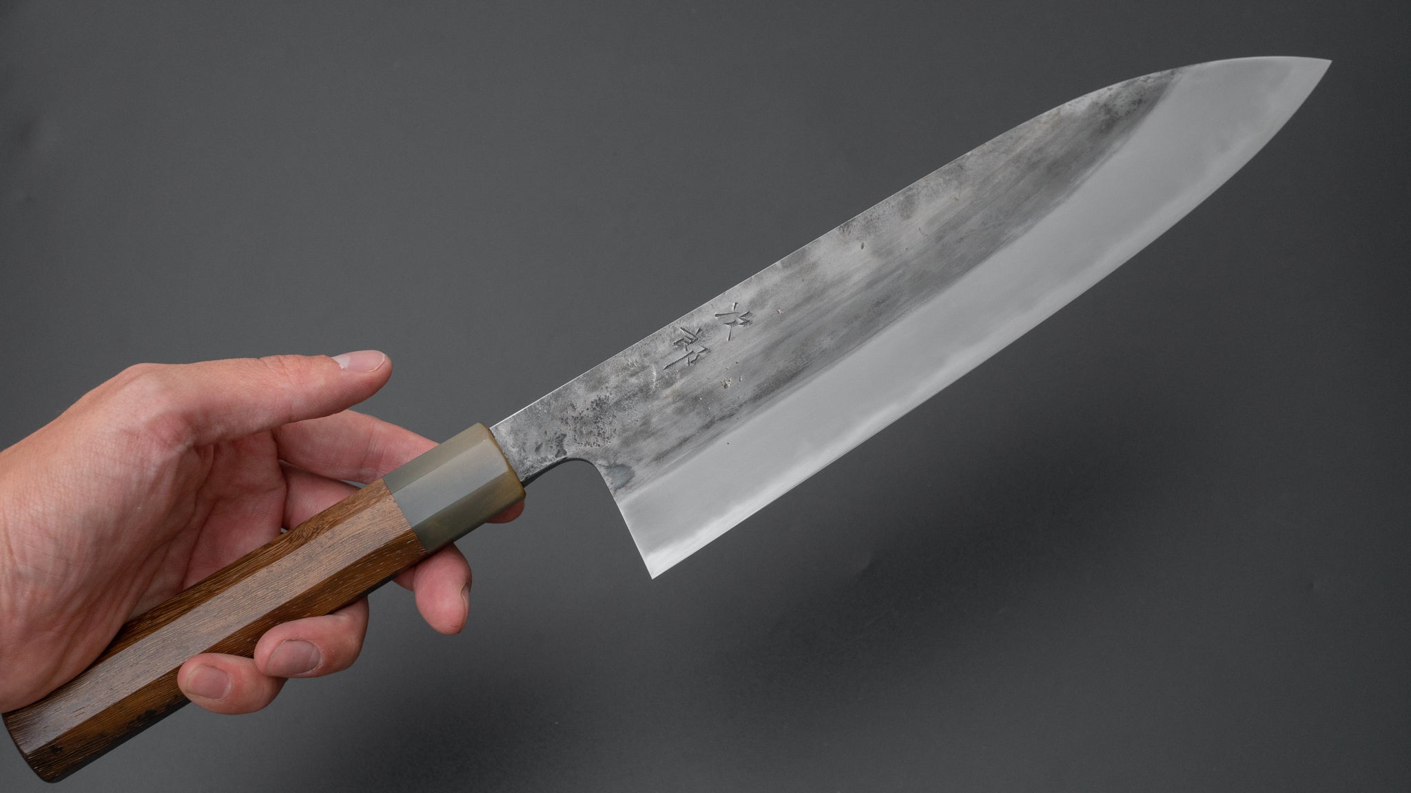 Premium Jiro Tsuchime Wa Gyuto 240mm Japanese Chef Knife with Taihei Tagayasan Handle - Perfect for Sushi, Sashimi & Precision Cutting (#509)
