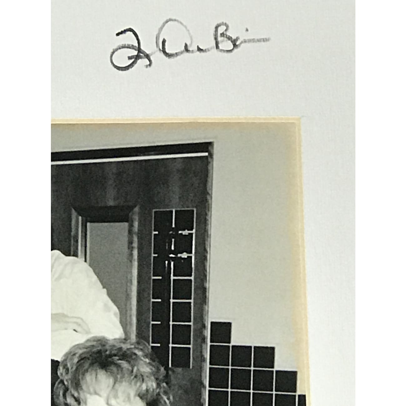 Brooks & Dunn & Reba McEntire Autographed Limited Edition Photo with BAS LOA - Country Music Collectible Memorabilia for Fans & Home Decor