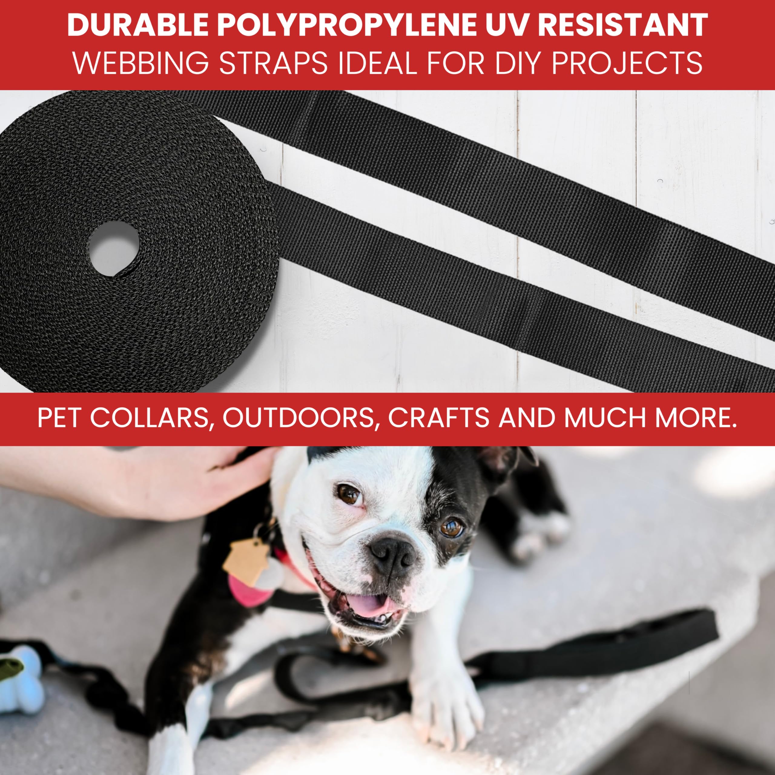Durable Polypropylene UV Resistant Webbing Straps - 1 Inch (Green, 100) | Ideal for DIY Projects, Pet Collars, Outdoor Gear & Crafts | Perfect for Camping, Hiking & Home Organization