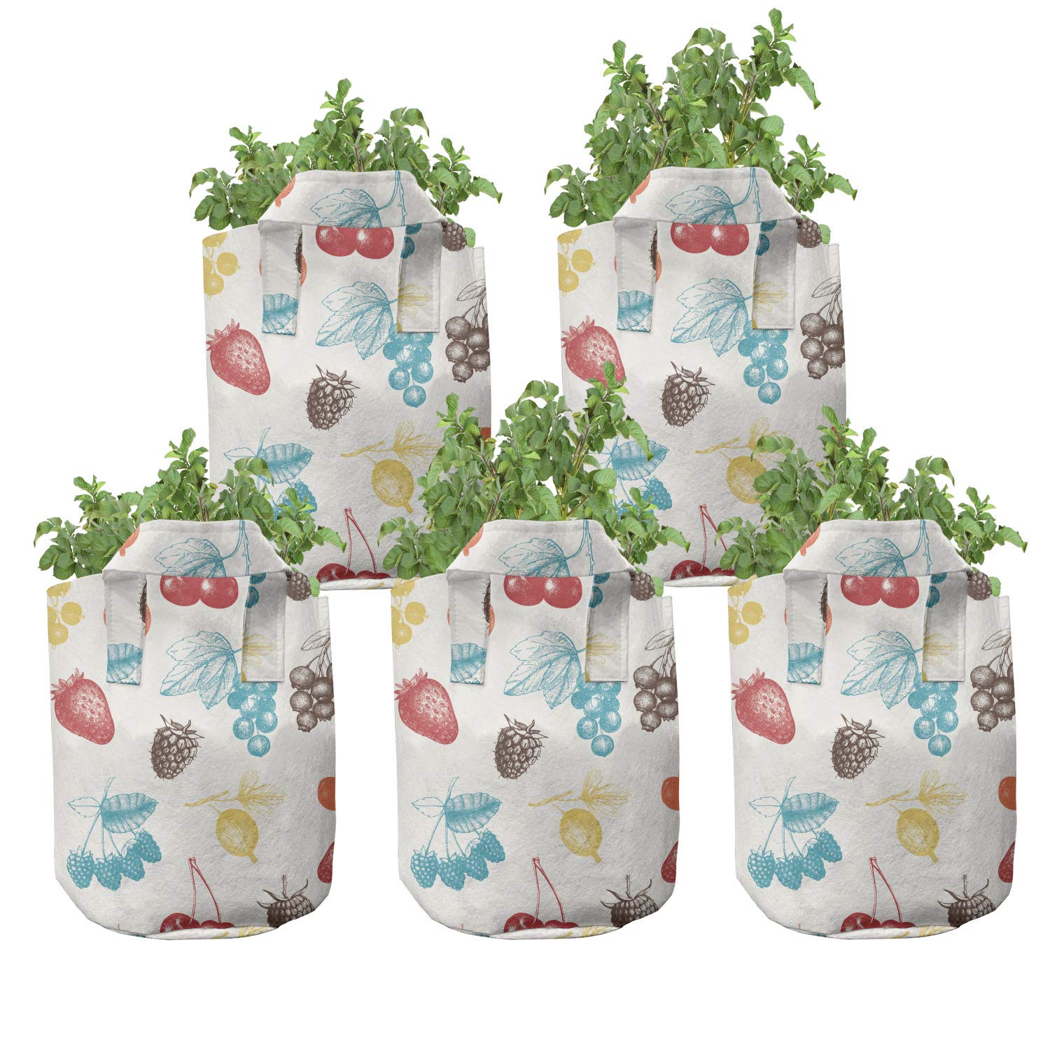 Ambesonne 5-Pack Heavy Duty Fabric Grow Bags with Handles - Colorful Fruit Pattern Plant Pots for Indoor/Outdoor Gardening, Vegetables, Herbs & Flowers