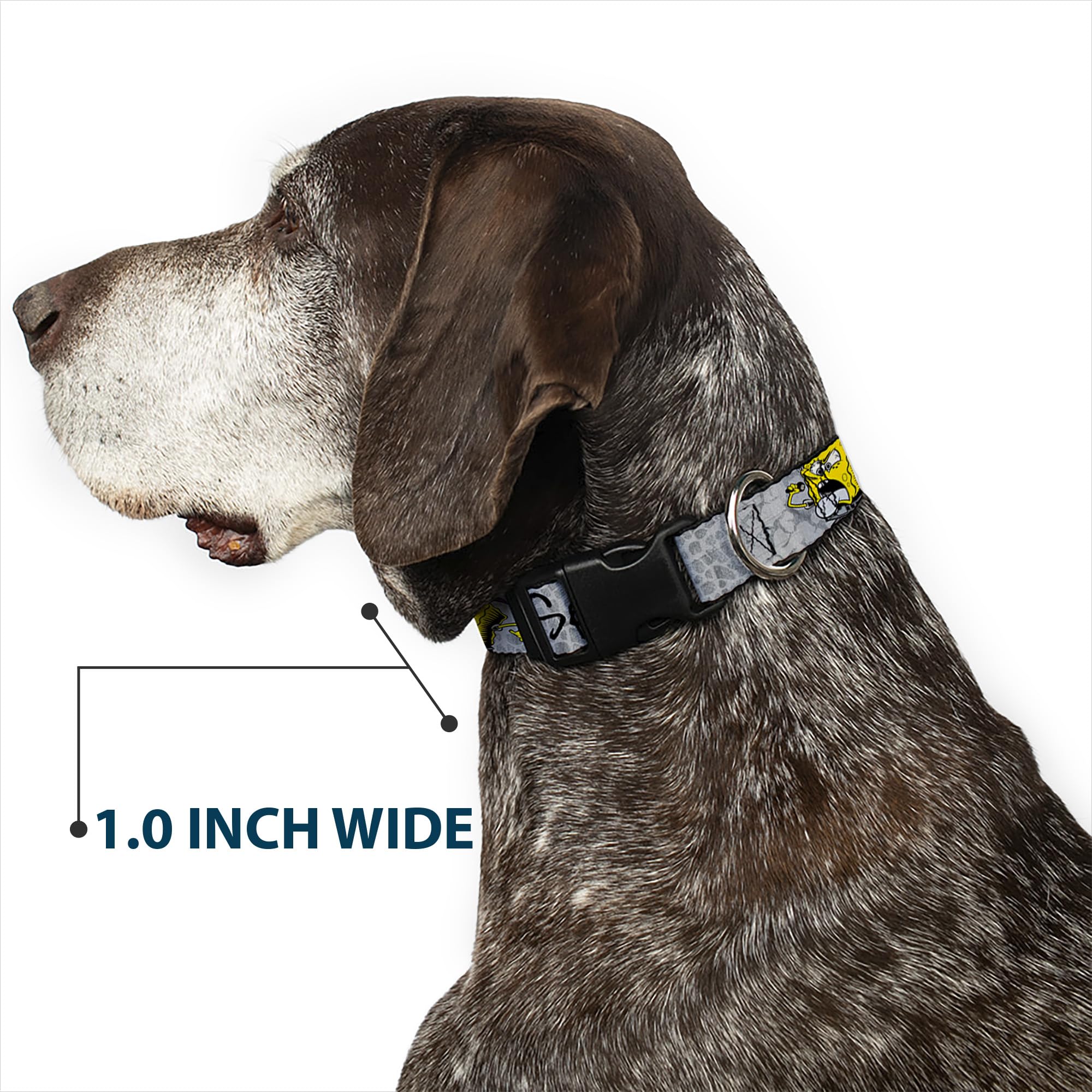 SpongeBob Dog Collar with Plastic Clip - 3 Fun Poses (Spongeitude, Grays, Black) - Adjustable 6 to 9 Inches, 0.5 Inch Wide - Perfect for Cosplay, Pet Costumes & Cartoon Lovers