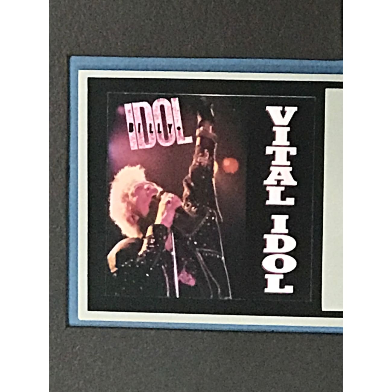 Billy Idol Vital Idol RIAA Platinum Album Award - Official Music Collectible for Fans & Display