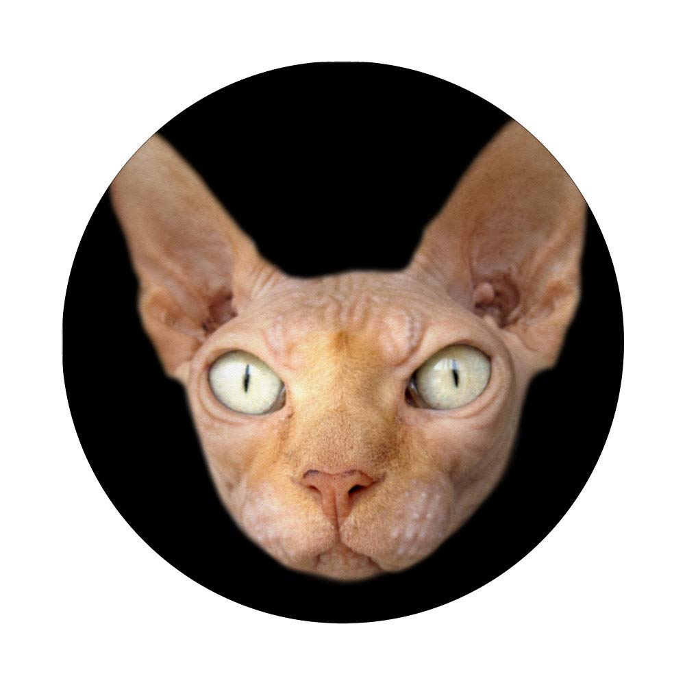 Egyptian Sphinx Face Cat Lover Gift - Unique Holiday Deals for Cat Enthusiasts | Perfect for Christmas, Birthday & Housewarming Gifts