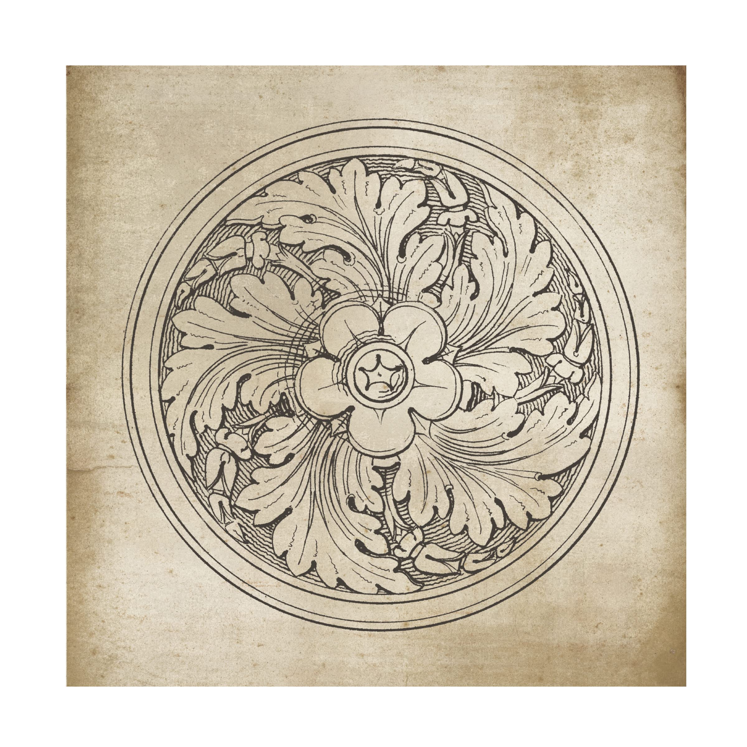 Trademark Fine Art 'Rosette II Neutral' Canvas Wall Art by Wild Apple - Modern Home Decor for Living Room, Bedroom & Office