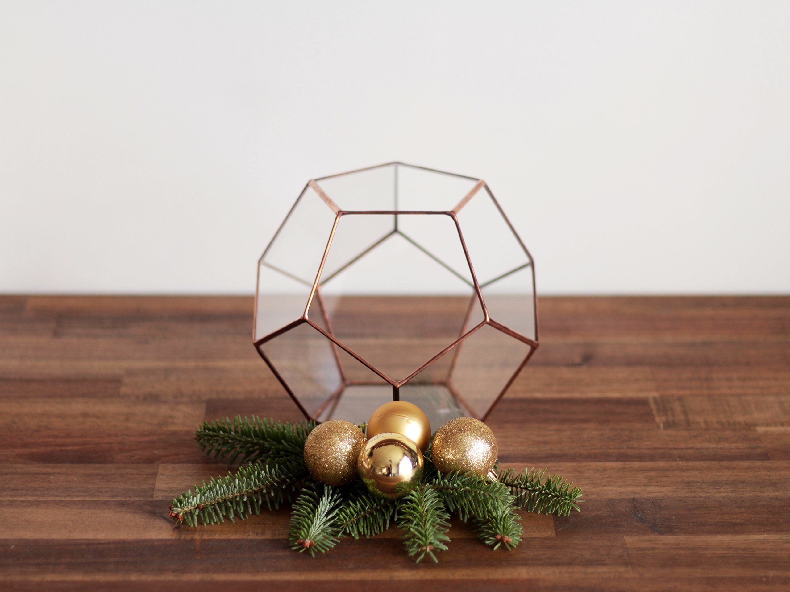 Glass Geometric Terrarium Planter - Dodecahedron Shape in Copper, Silver & Black | Indoor Plant Display for Home Decor, Office Desk & Gift Ideas