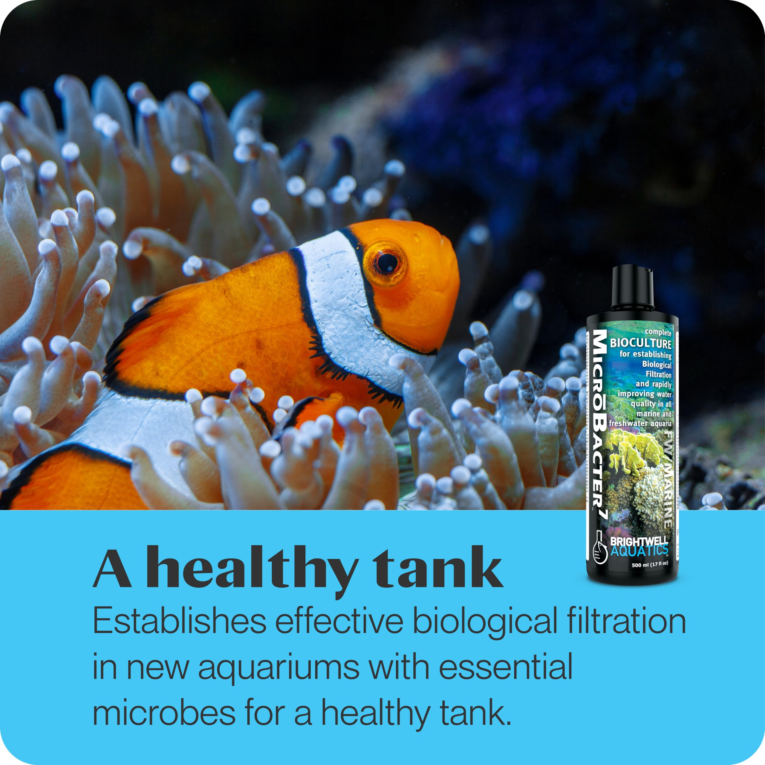 Brightwell MicroBacter7 Aquarium Biofilter - Saltwater & Freshwater Fish Tank Treatment (4.2oz) for Clean Water