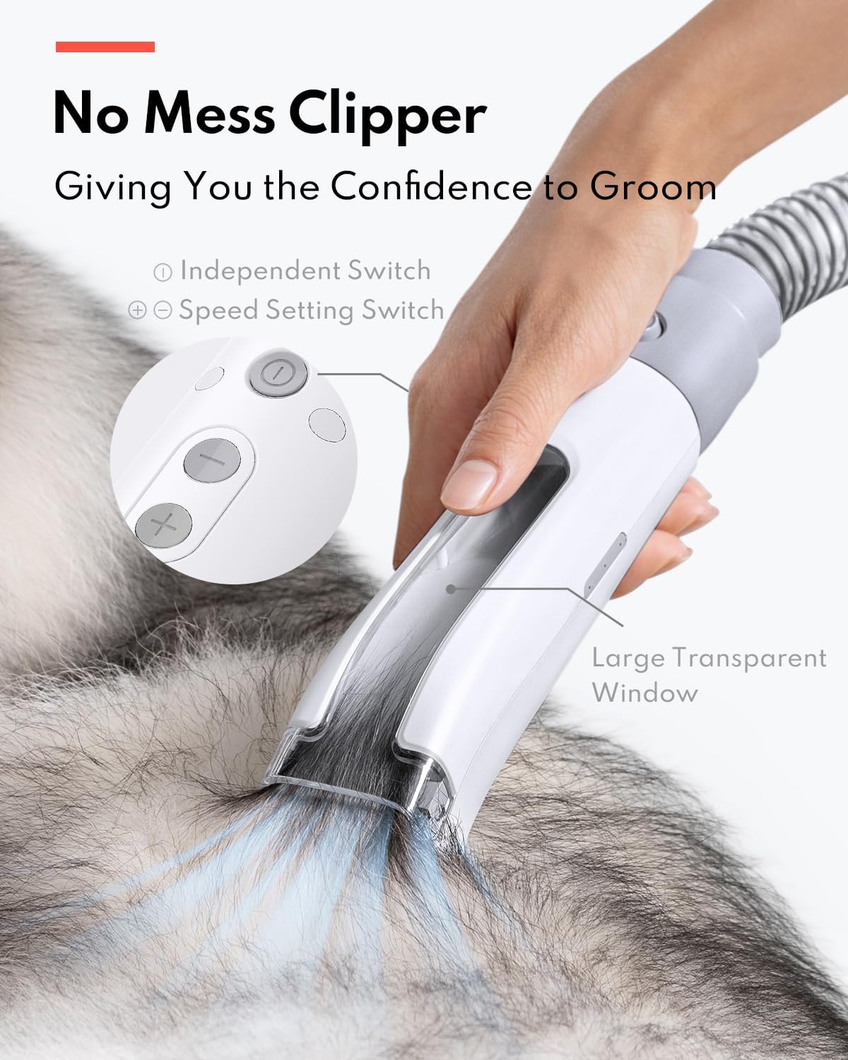 HomeRunPet Ultra Quiet Dog Grooming Vacuum - 99% Pet Hair Suction, 6-Piece Grooming Kit, Anti-Shedding, 1.85L Dust Cup - Perfect for Home Pet Grooming & Cleaning Dogs, Cats & Small Animals | Ideal for Shedding Season, Allergy Relief & Daily Pet Care