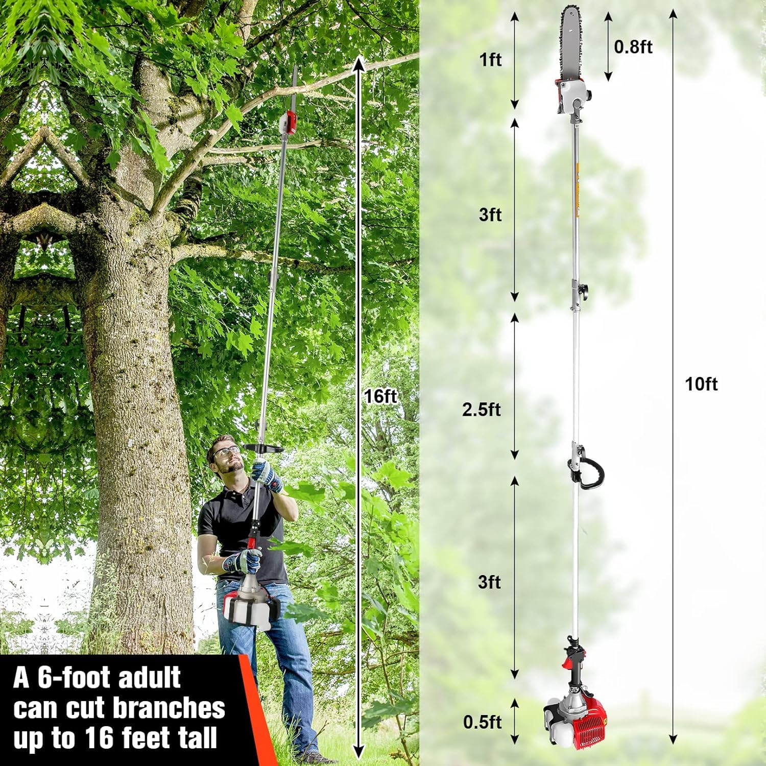 Homdox 58CC Gas Pole Saw - 16ft Extendable for Tree Trimming & Branch Cutting (Outdoor Use)