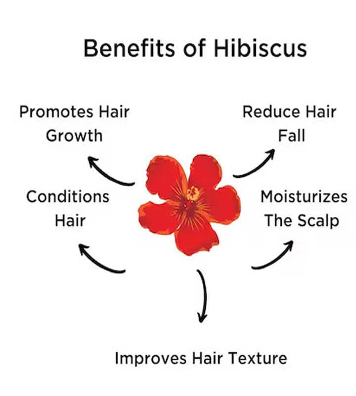 VS Products Organic Hair Care Combo Pack - Dried Amla Powder, Reetha Powder, Bhringraj Powder, Shikakai Powder & Hibiscus Powder (500g) | Natural Ayurvedic Hair Treatment for Growth, Shine & Scalp Health | DIY Hair Masks & Herbal Hair Wash