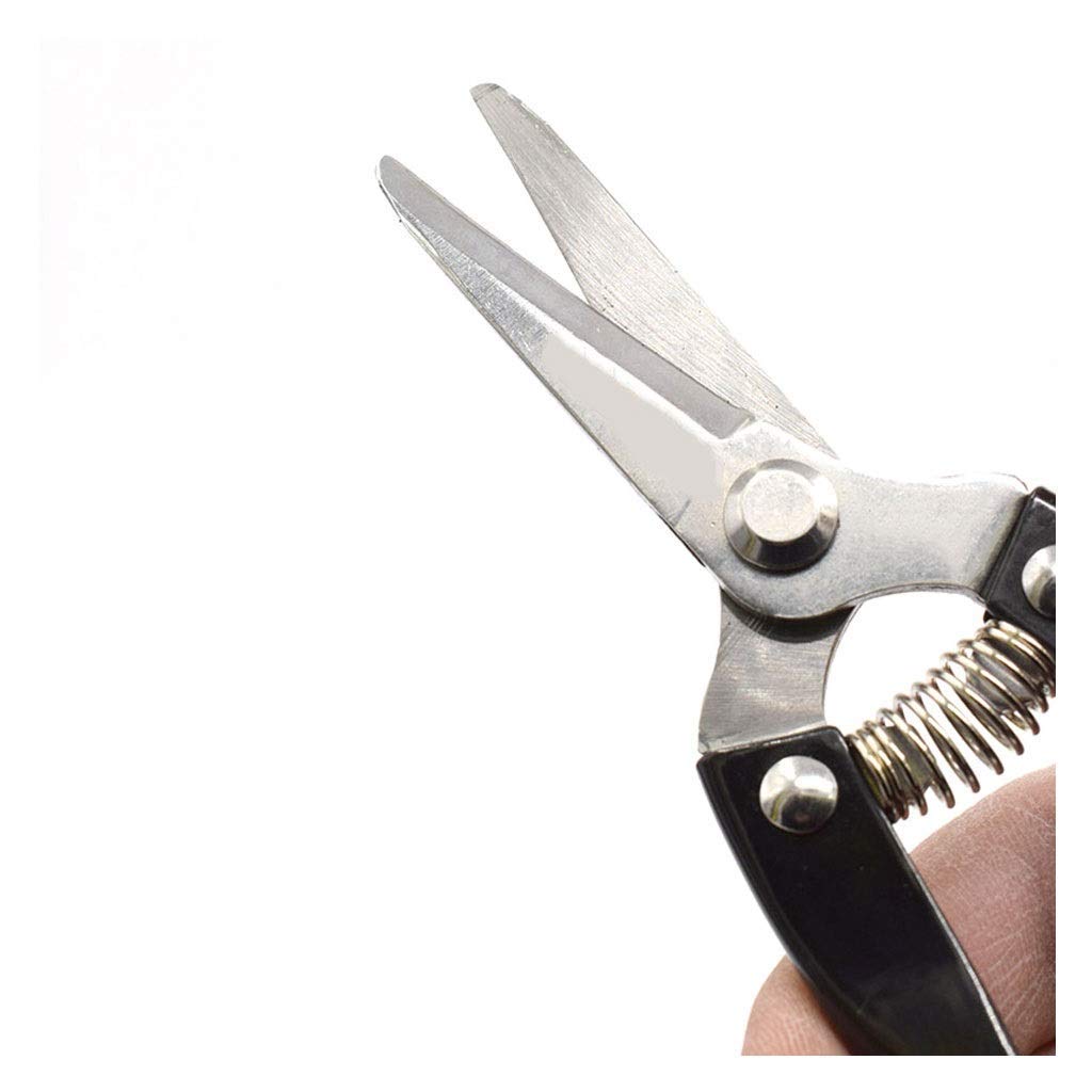Professional Garden Pruning Shears - Straight Bypass Pruner for Grapes, Flowers & Plants | Manual Labor-Saving Gardening Tool | Multi-Function Black Shears for Trimming, Harvesting & Landscaping | Perfect for Home Gardeners, Vineyard Workers & Horticulture Enthusiasts