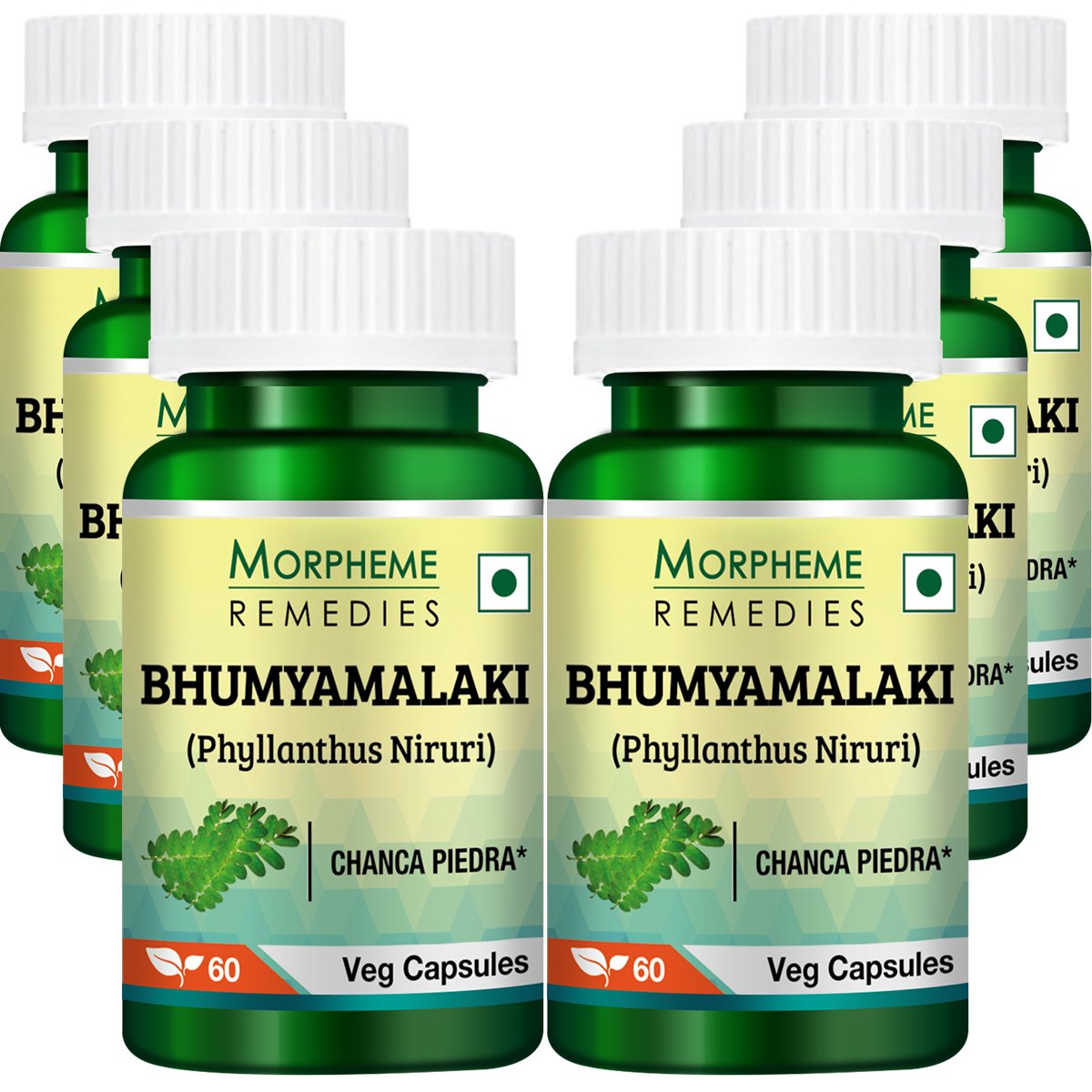 Morpheme Phyllanthus Niruri (Bhumyamlaki) 500mg Extract - 60 Vegan Capsules per Bottle - 6 Pack - Supports Liver & Kidney Health - Perfect for Daily Detox & Herbal Wellness Routine