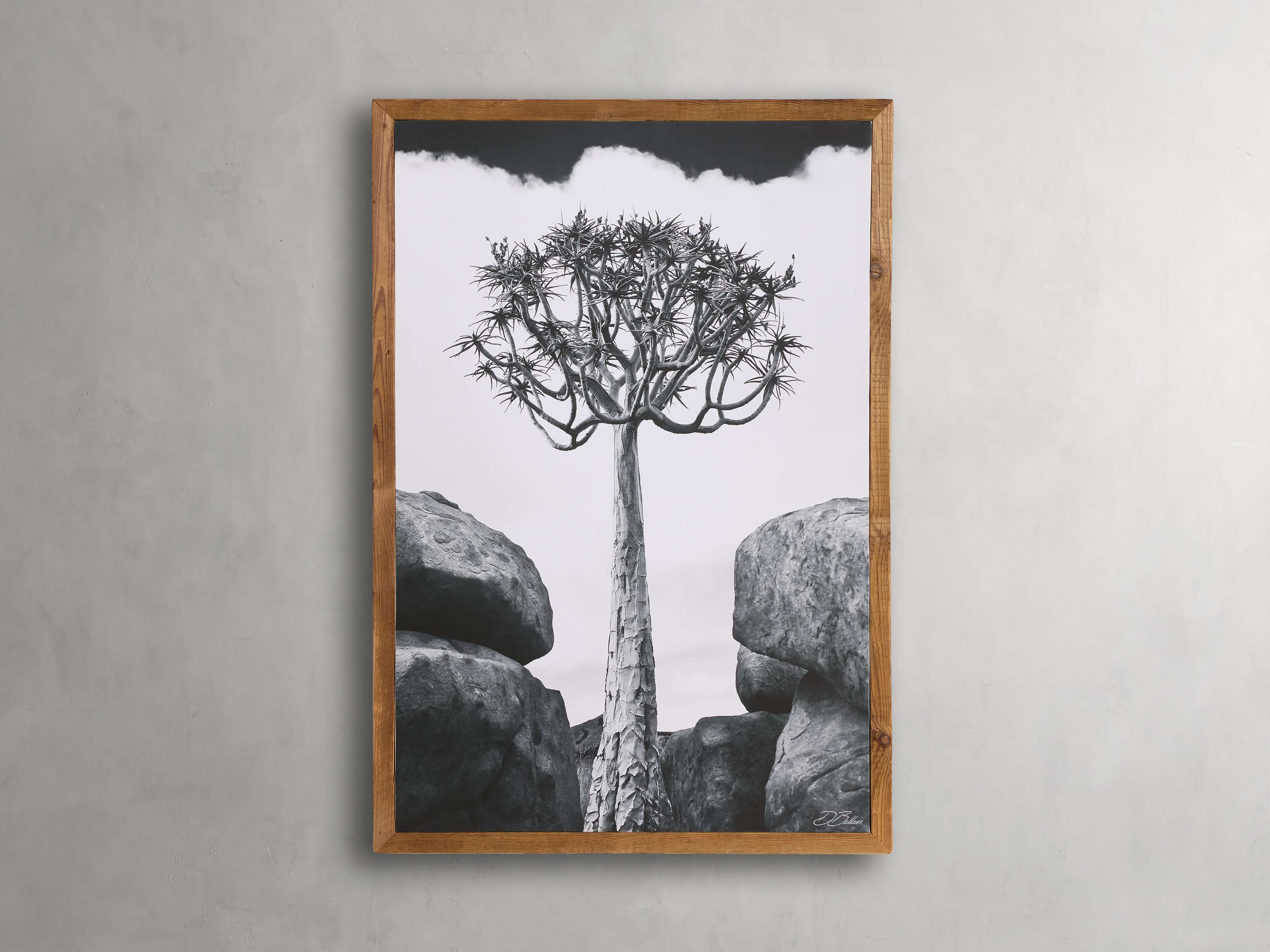 Aloidendron Framed Print - Premium Botanical Wall Art for Home & Office Decor - Perfect for Living Room, Bedroom, or Office Space