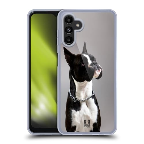 Black And White Dog Boxer