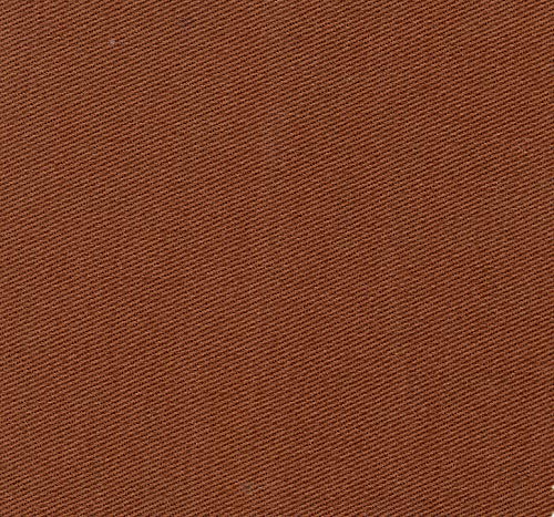 Cinnamon