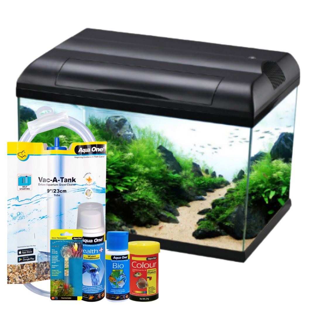 Ecostyle 47 Aquarium Bundle - 38 Litres (10 Gallons) Fish Tank Kit with LED Light & Filter - Perfect for Home, Office, or Classroom Aquascaping