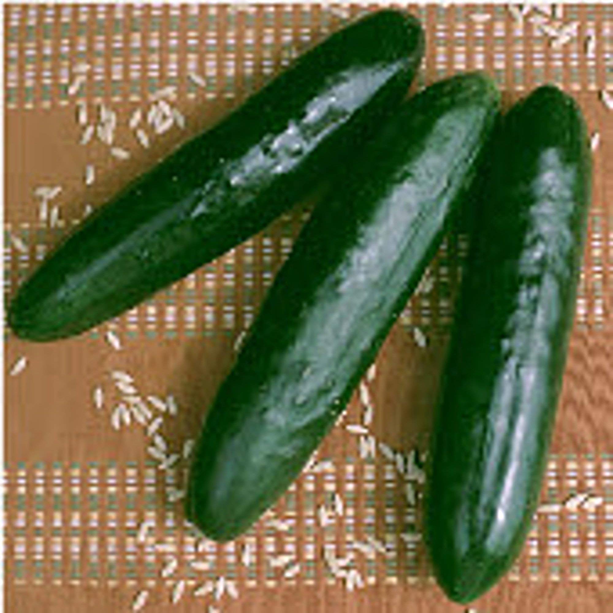 Organic Stonewall Cucumber Seeds - Non-GMO Heirloom Variety (25+ Seeds) for Home Vegetable Gardening, Pickling & Fresh Salads | Seed King Express