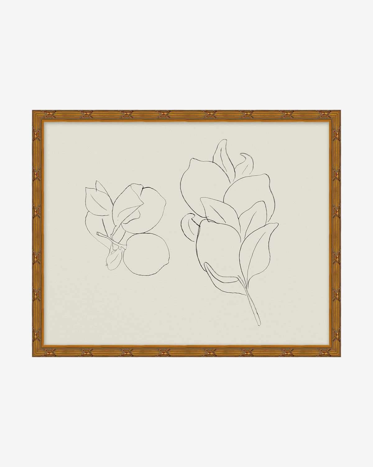 Sketched Fruit II - Hand-Drawn Fruit Art Prints - Perfect for Home Decor, Kitchen Wall Art & Gift Ideas