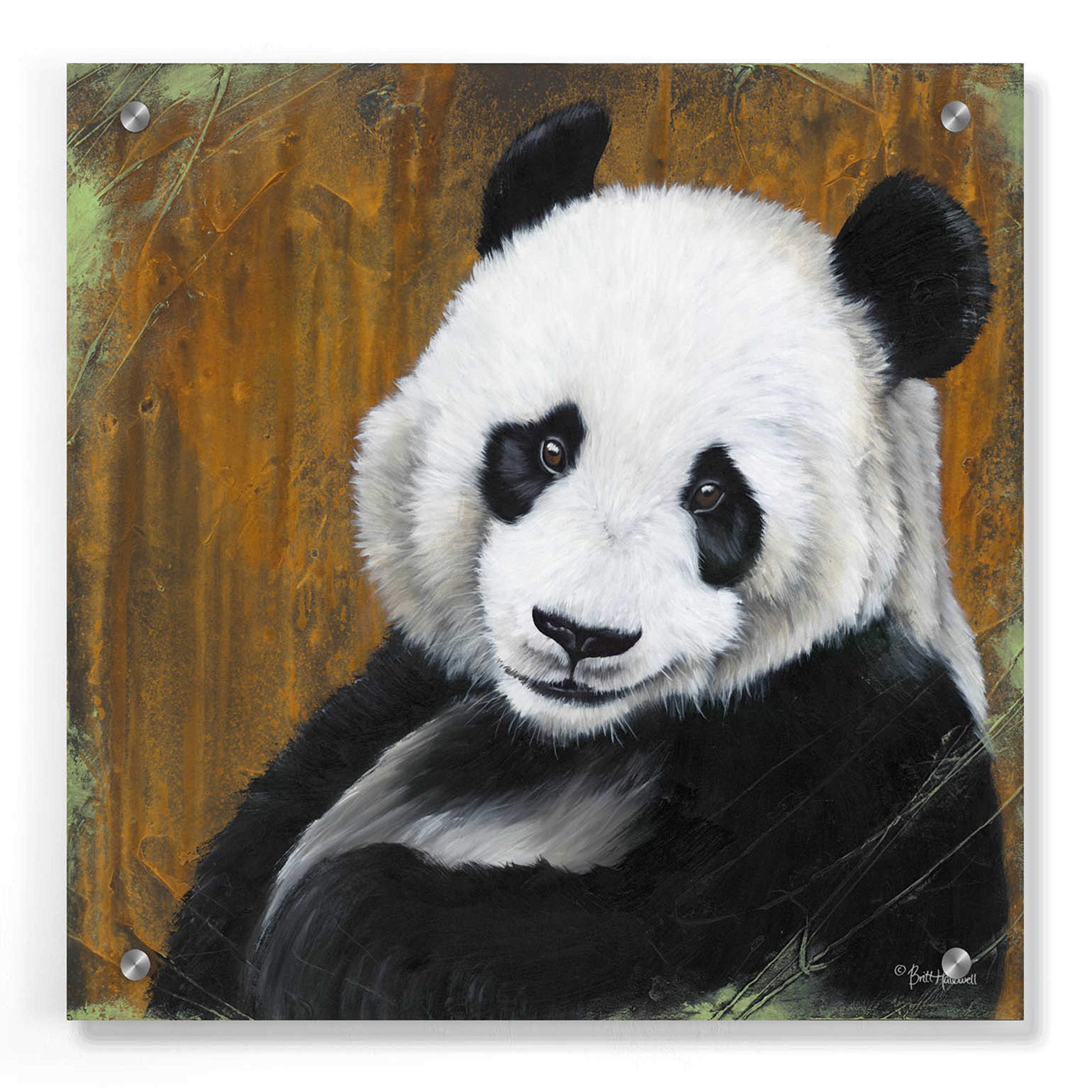 Epic Art 'Panda Smile' by Britt Hallowell - 36x36 Inch Acrylic Glass Wall Decor - Modern Home & Office Artwork - Perfect for Living Room, Bedroom or Gallery Wall Display