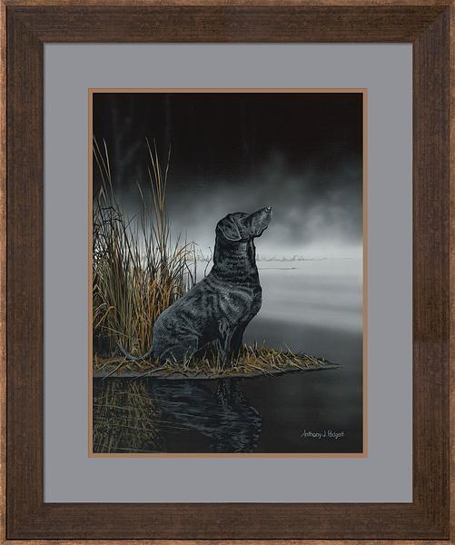 Daybreak Scout Black Labrador Retriever Wall Art Print - Premium Paper Poster for Home, Office & Dog Lover Decor