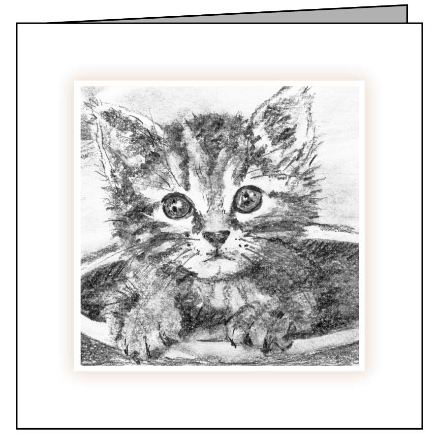Adorable New Kitten Welcome Greeting Card - Perfect for Cat Lovers & Pet Adoption Celebrations - Ideal for New Cat Owners, Kitten Showers & Adoption Parties