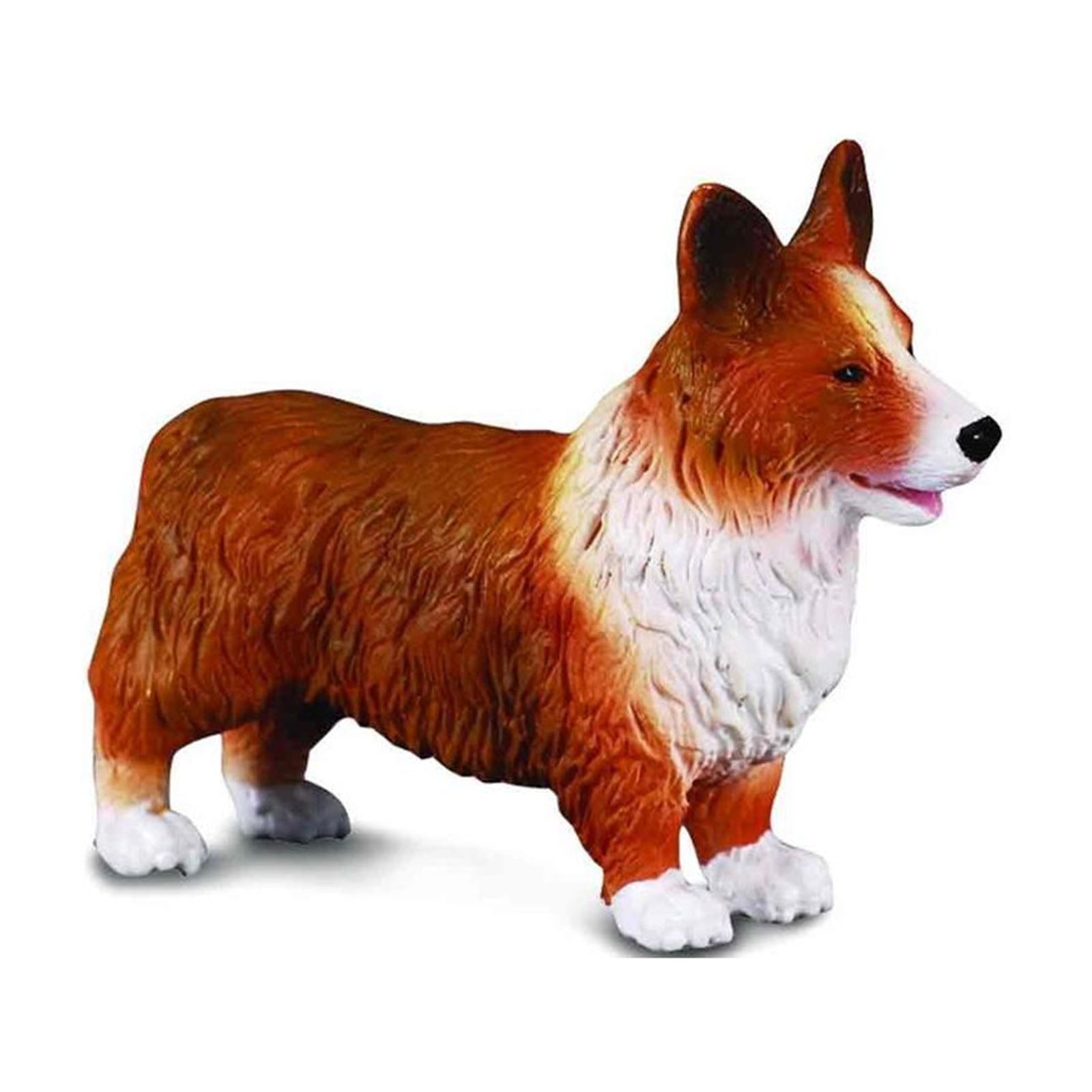 CollectA Welsh Corgi Dog Toy Figure 88082 - Realistic Animal Model for Kids Play, Pet Training, and Home Decor
