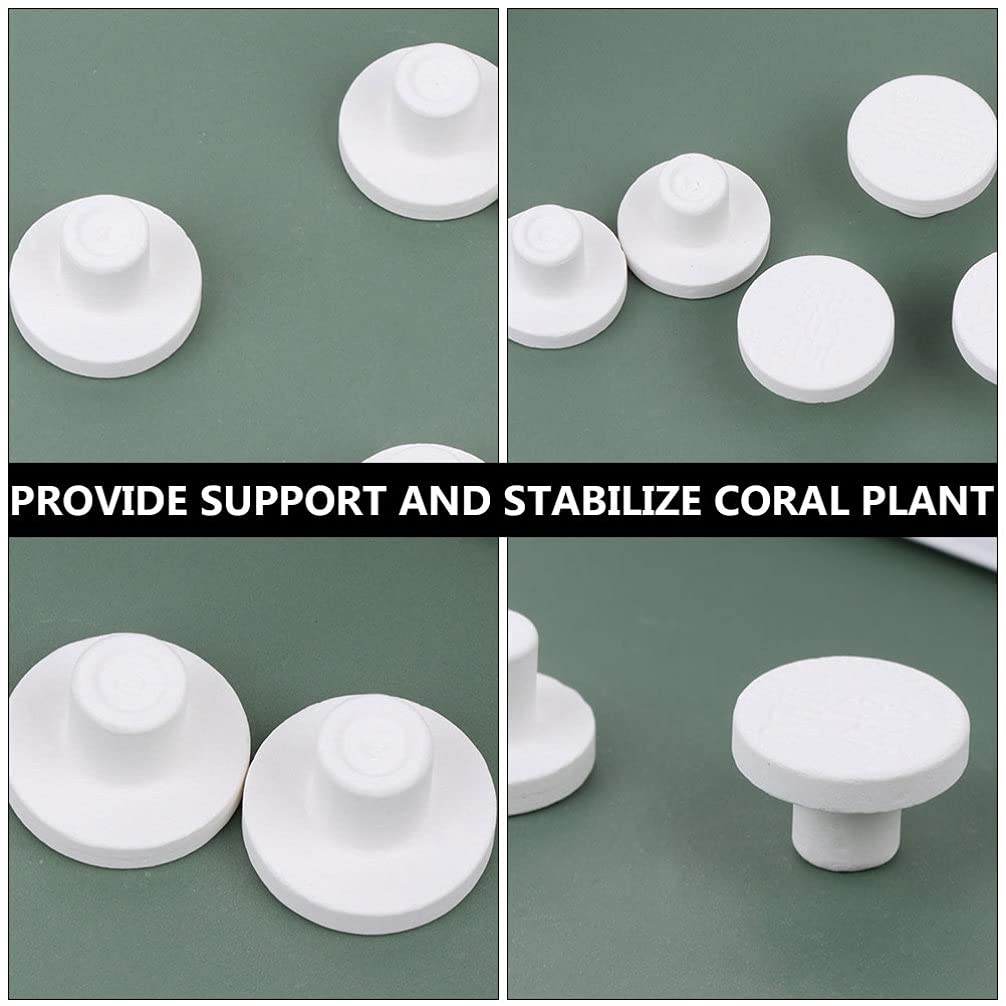 Balacoo 10Pcs White Coral Frag Plug Ceramic Base - Coral Stand Tile for Saltwater Aquarium, Reef Tank Accessories | Perfect for Coral Propagation, Frag Rack Mounting & Aquascaping