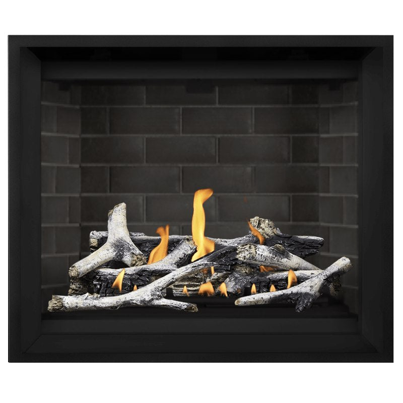 Napoleon Altitude X 42 Direct Vent Gas Fireplace - 42 Inch Natural Gas Fireplace Insert with Remote Control | AX42 1 | Perfect for Living Rooms, Bedrooms & Outdoor Patios