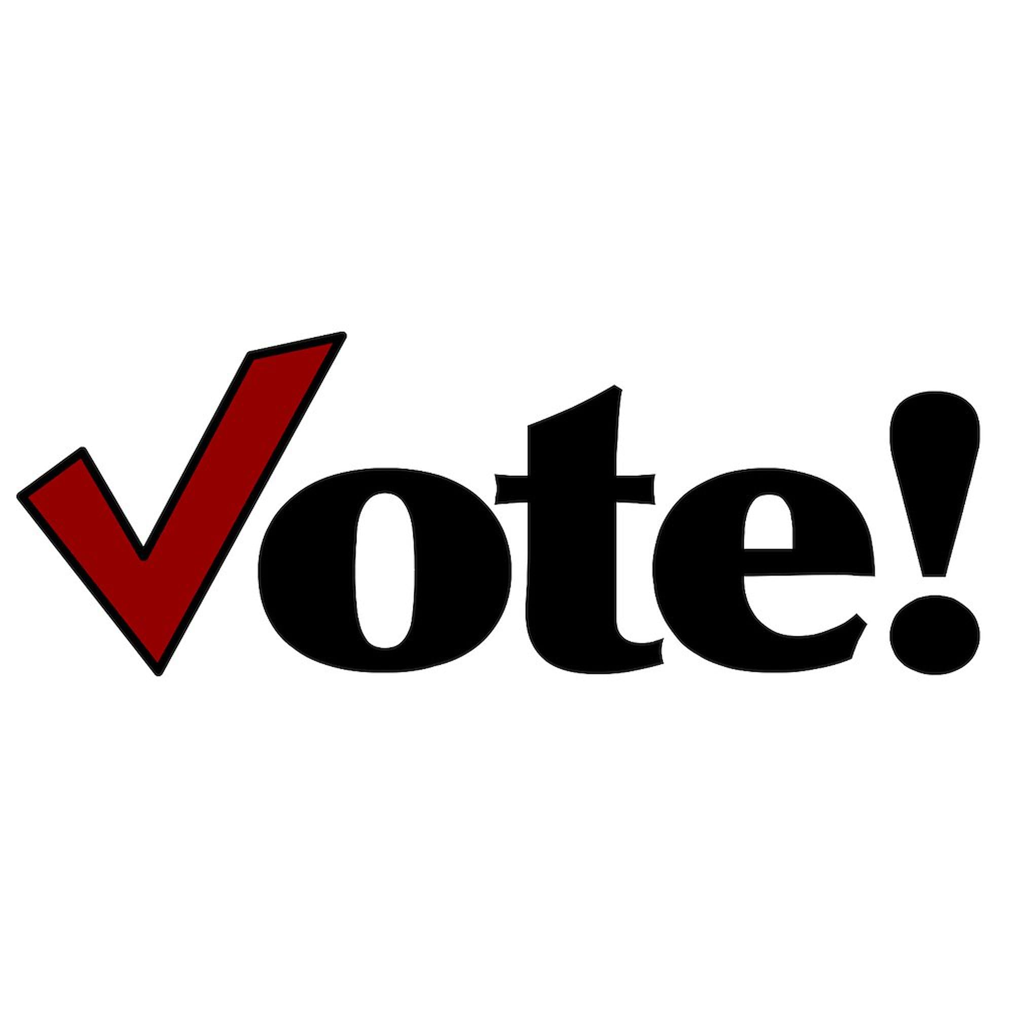 Vote Oval Car Bumper Sticker - Political Campaign Decal