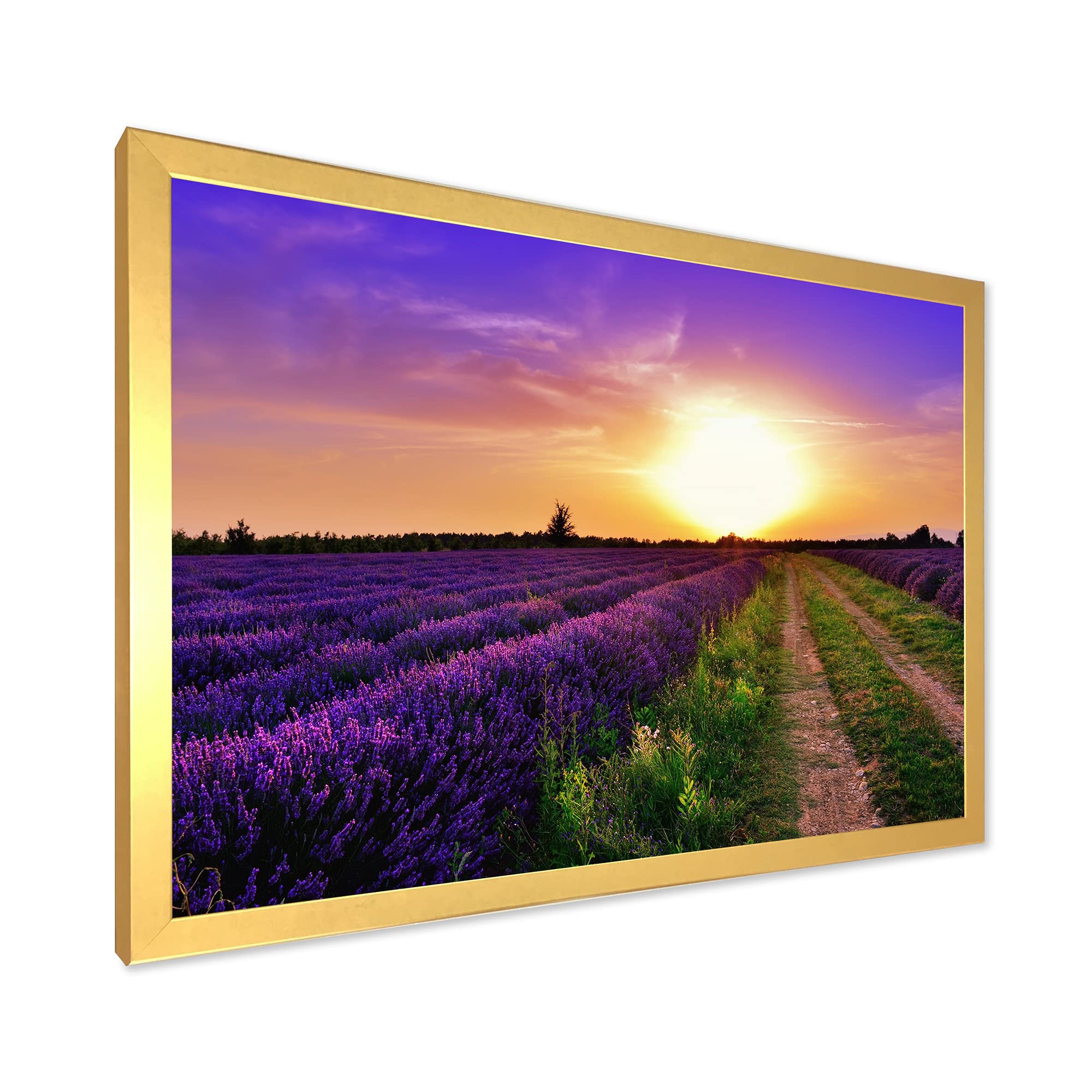 Lavender Field At Dawn II - Farmhouse Framed Wall Art Painting - Countryside Home Decor for Living Room, Bedroom & Office
