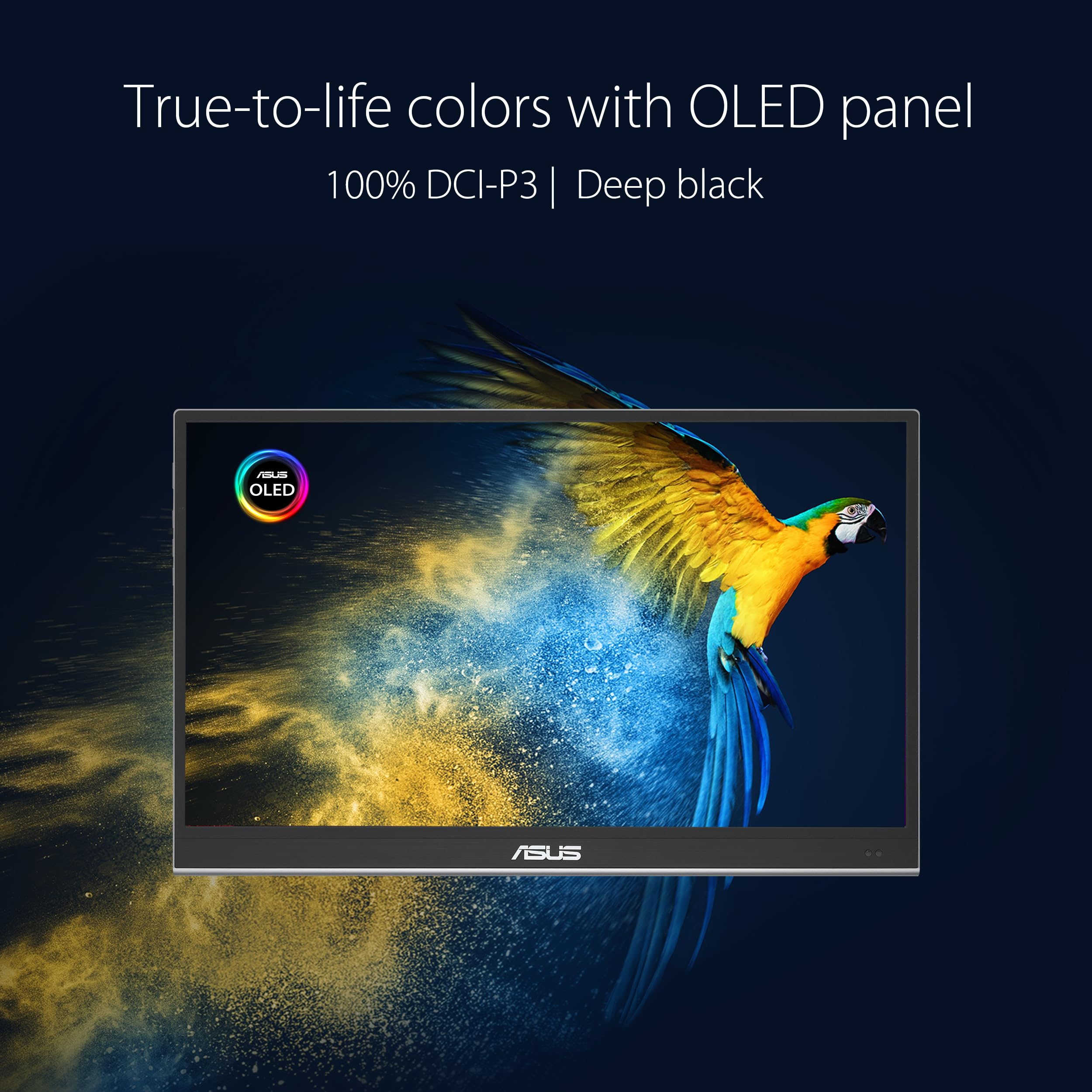 ASUS ZenScreen 16