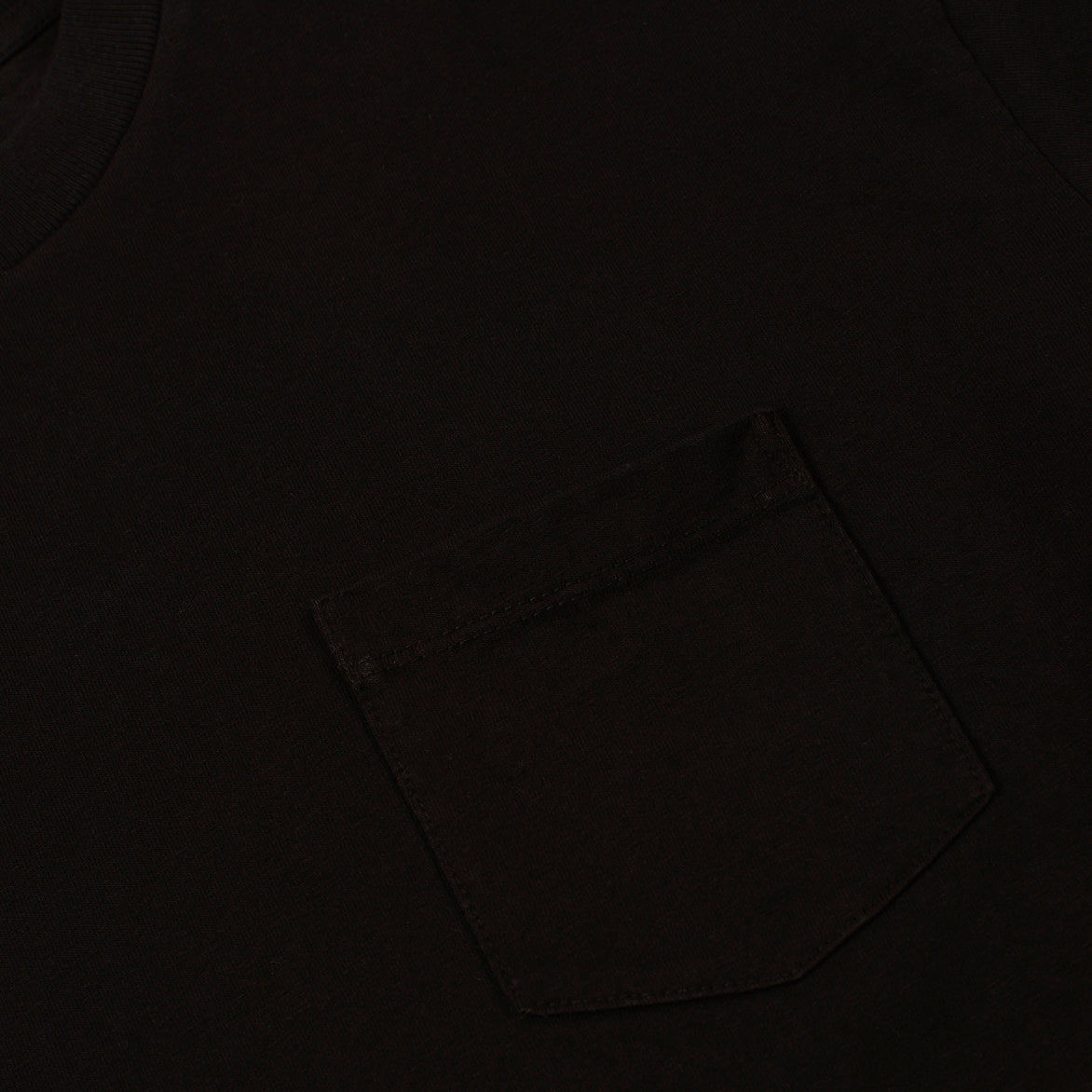 Anti Expo Tee - Black | Unisex Graphic T-Shirt for Streetwear & Casual Outfits | Perfect for Concerts, Parties & Everyday Wear