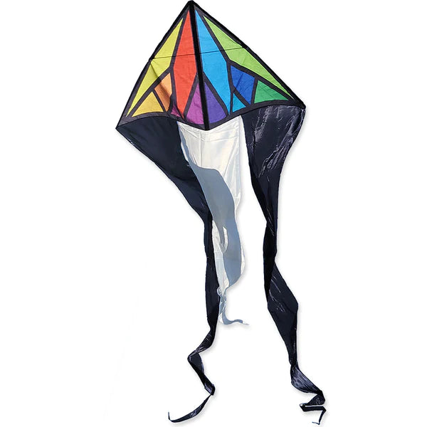 56 Inch Flo Tail Delta Kite - Colorful Geometric Design for Outdoor Fun, Beach Flying, Park Activities & Family Bonding